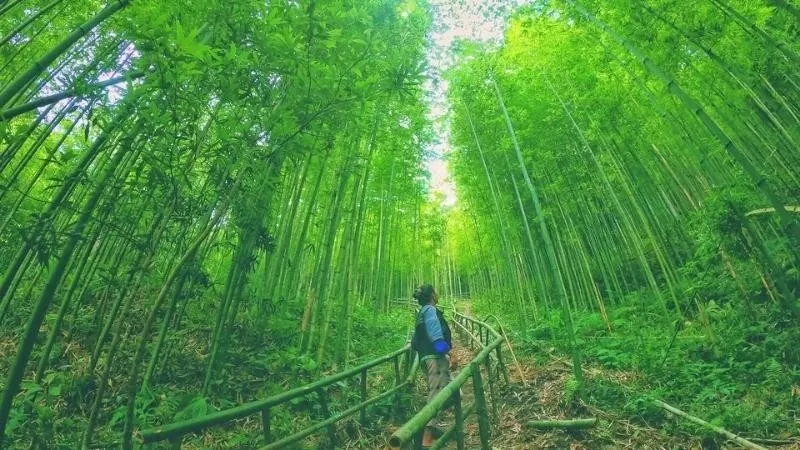 Mù Cang Chải: Điểm đến thu hút du khách với những trải nghiệm giàu bản sắc văn hóa