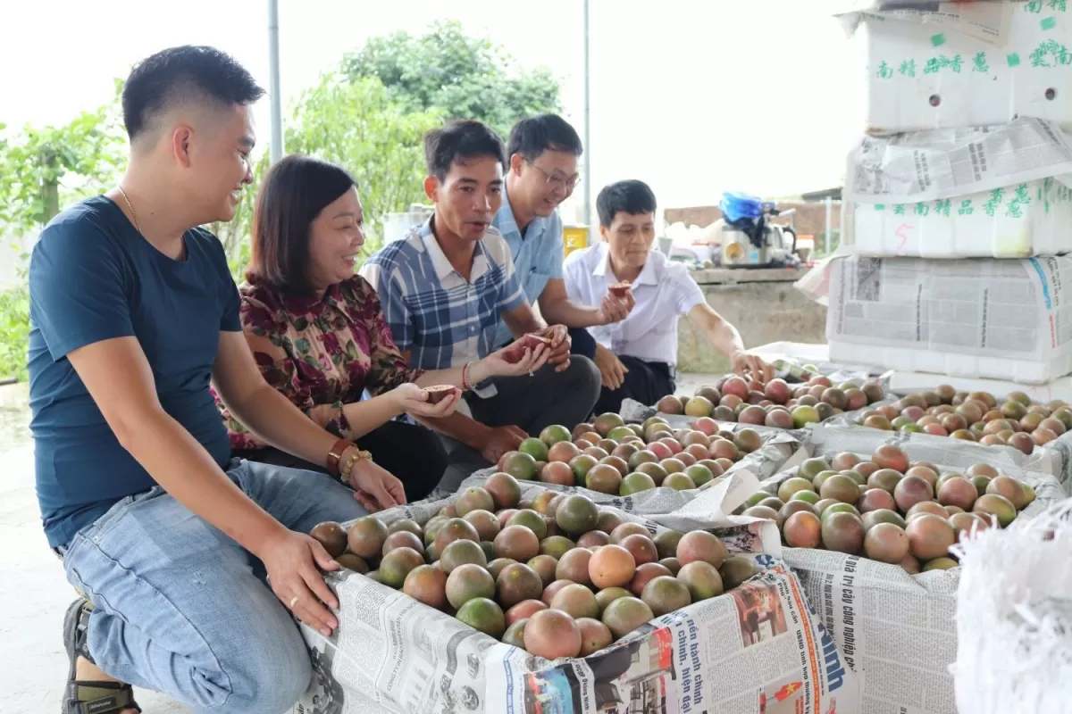 Để hàng Việt ‘bám rễ’ thị trường Hoa Kỳ