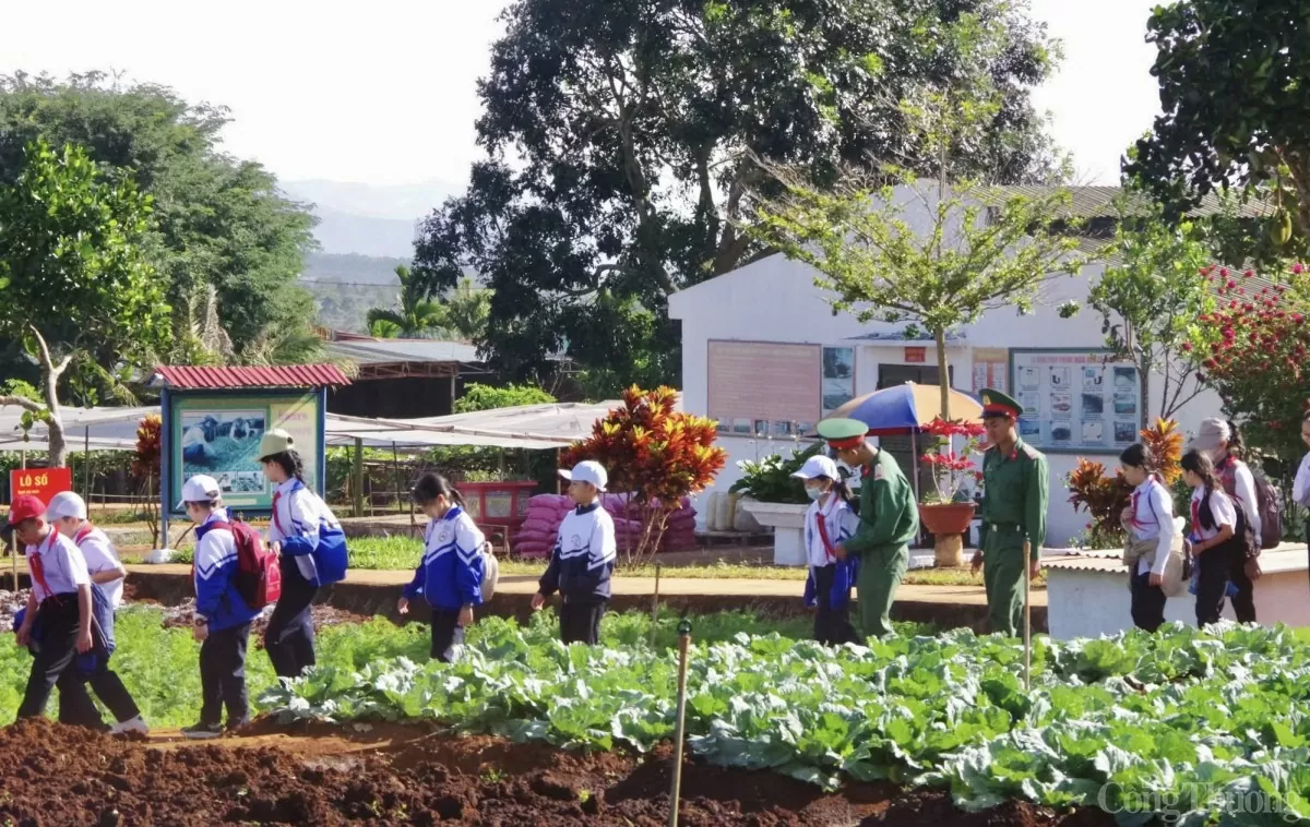 Gia Lai: Học sinh hào hứng với nhiều trải nghiệm thú vị khi được hoá thân thành chiến sĩ