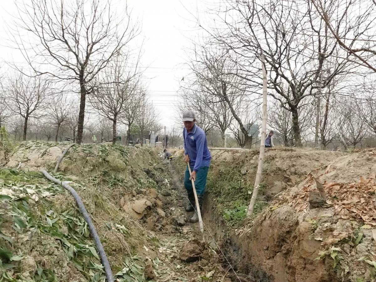 thay áo mới đào phai quảng chính tỉnh thanh hóa