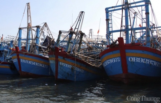 ba ria vung tau hon 3400 tau ca neo dau an toan tranh bao so 10