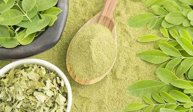 Thương mại điện tử giúp nông dân Long An quảng bá sản phẩm chùm ngây