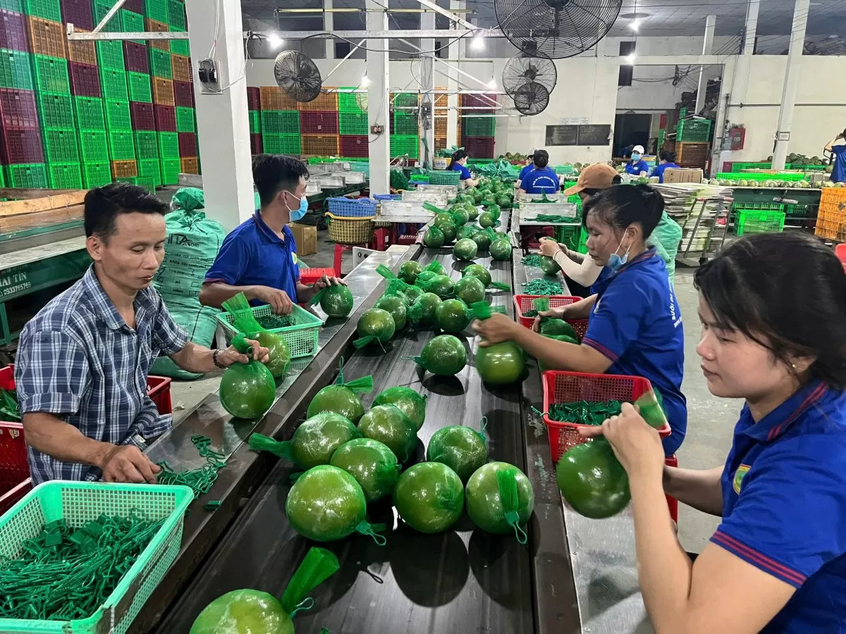 Cổng FTAP: Địa chỉ tin cậy giúp doanh nghiệp, địa phương tối ưu hóa lợi ích từ FTA