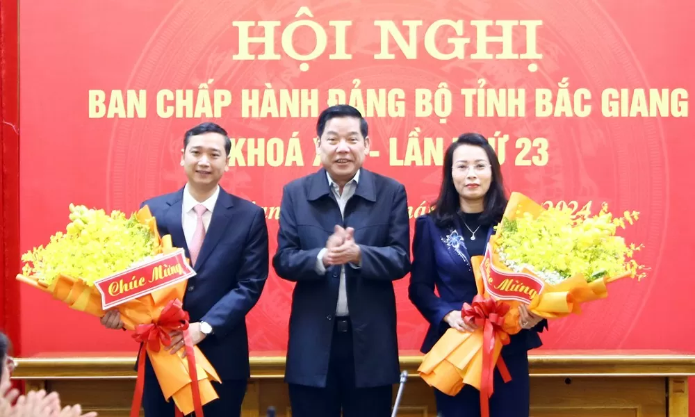 Bắc Giang bầu Phó Bí thư Tỉnh ủy, Chủ tịch UBND tỉnh