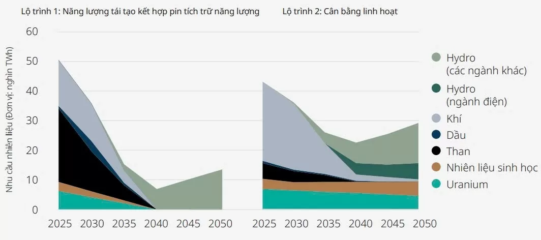 So sánh cơ cấu năng lượng giai đoạn 2025 – 2050 trong 2 lộ trình từ mô phỏng