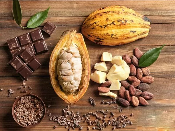 Trong phiên giao dịch gần đây, giá ca cao bất ngờ tăng mạnh, trái ngược với xu hướng giảm trước đó