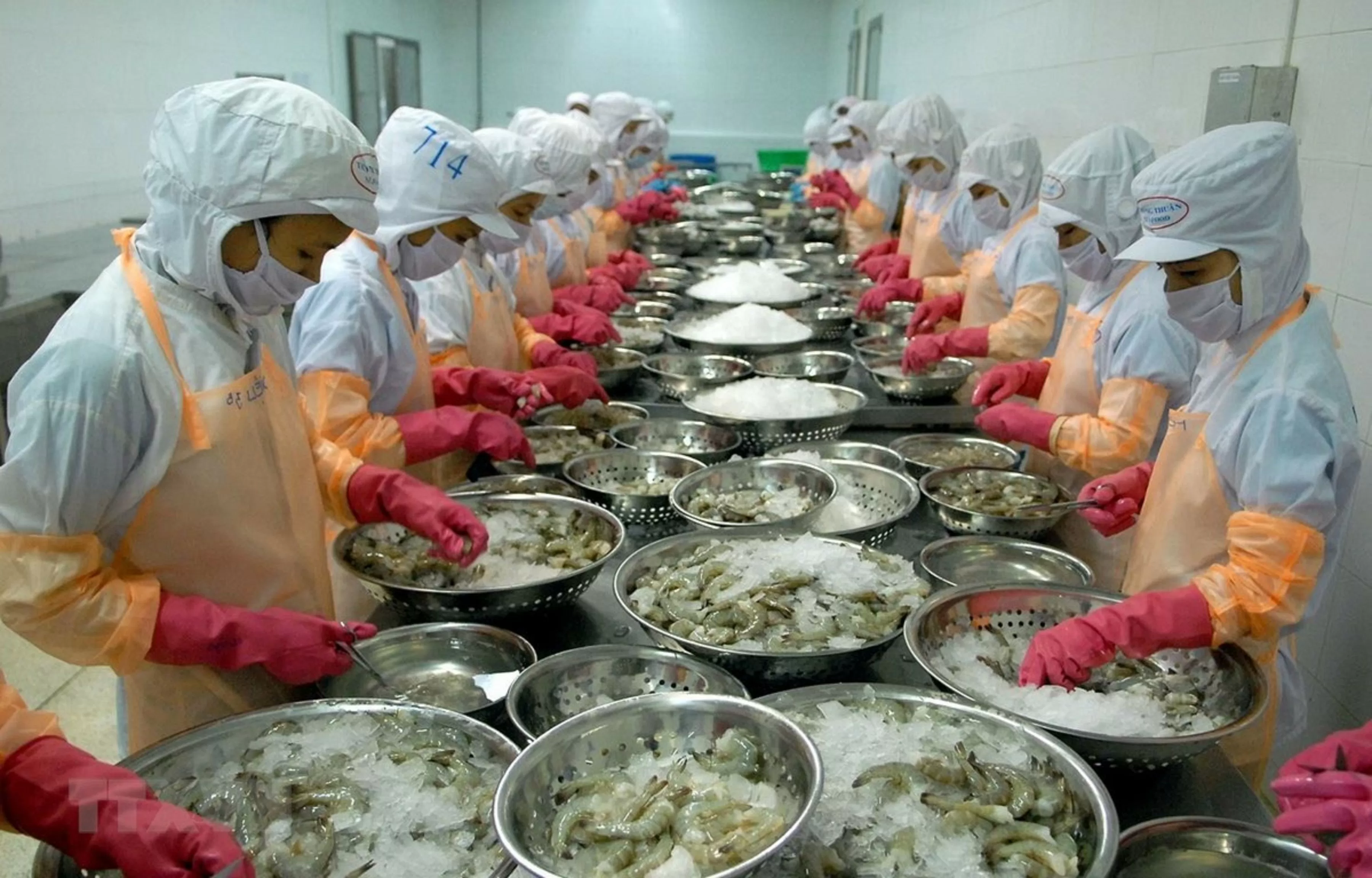 Doanh nghiệp Việt Nam đóng góp vào xây dựng quốc gia hùng cường