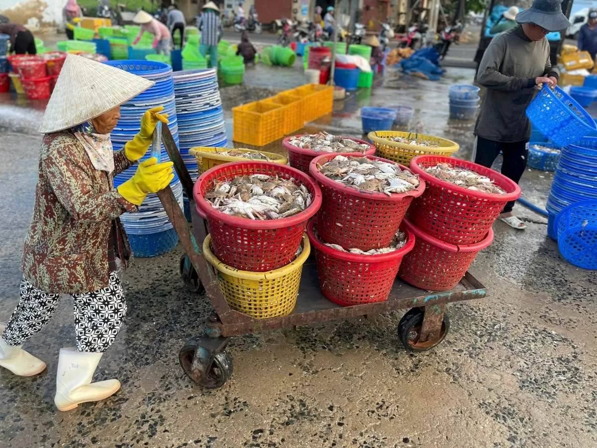 Các địa phương đẩy mạnh khắc phục gỡ 'thẻ vàng' IUU