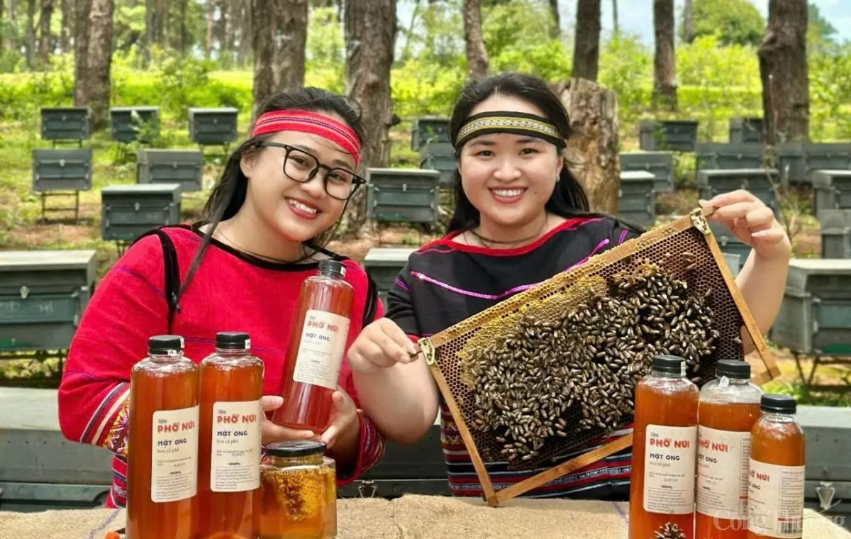 Khi người trẻ kể chuyện khởi nghiệp từ sản vật địa phương