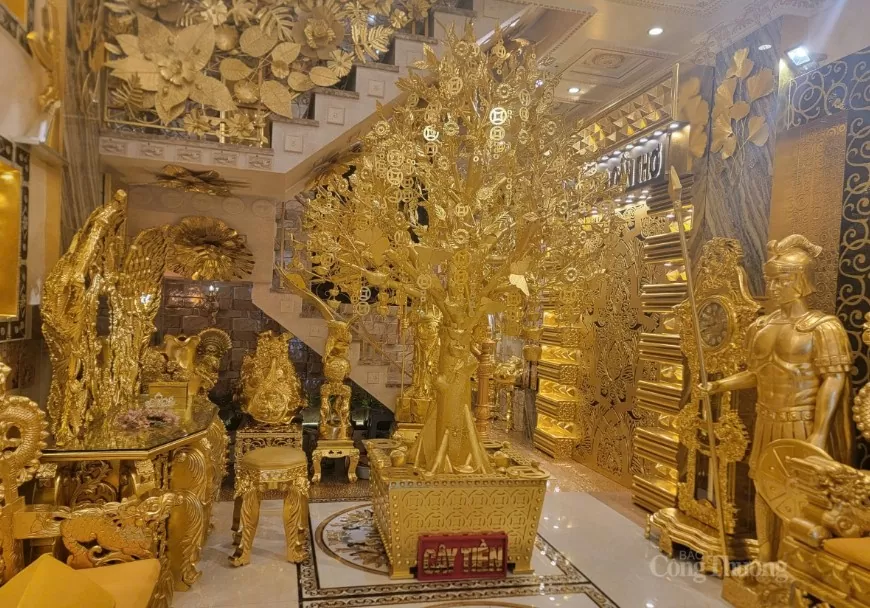 Cây kim tiền - biểu tượng của sự giàu sang.