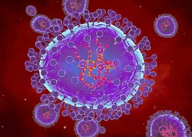 Cục Y tế dự phòng cho biết sẽ tiếp tục bám sát diễn biến tình hình dịch bệnh do virus gây viêm phổi trên người tại Trung Quốc