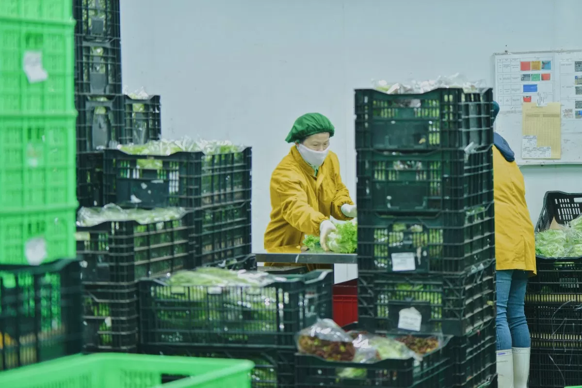 Tổng mức bán lẻ và doanh thu dịch vụ tiêu dùng năm 2024 tăng 9% Tổng mức bán lẻ và doanh thu dịch vụ tiêu dùng năm 2024 tăng 9%
