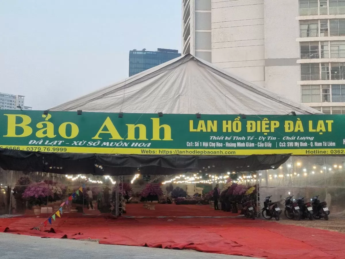 Lan Đà Lạt khoe sắc nơi đất ‘vàng’ bỏ hoang Hà Nội