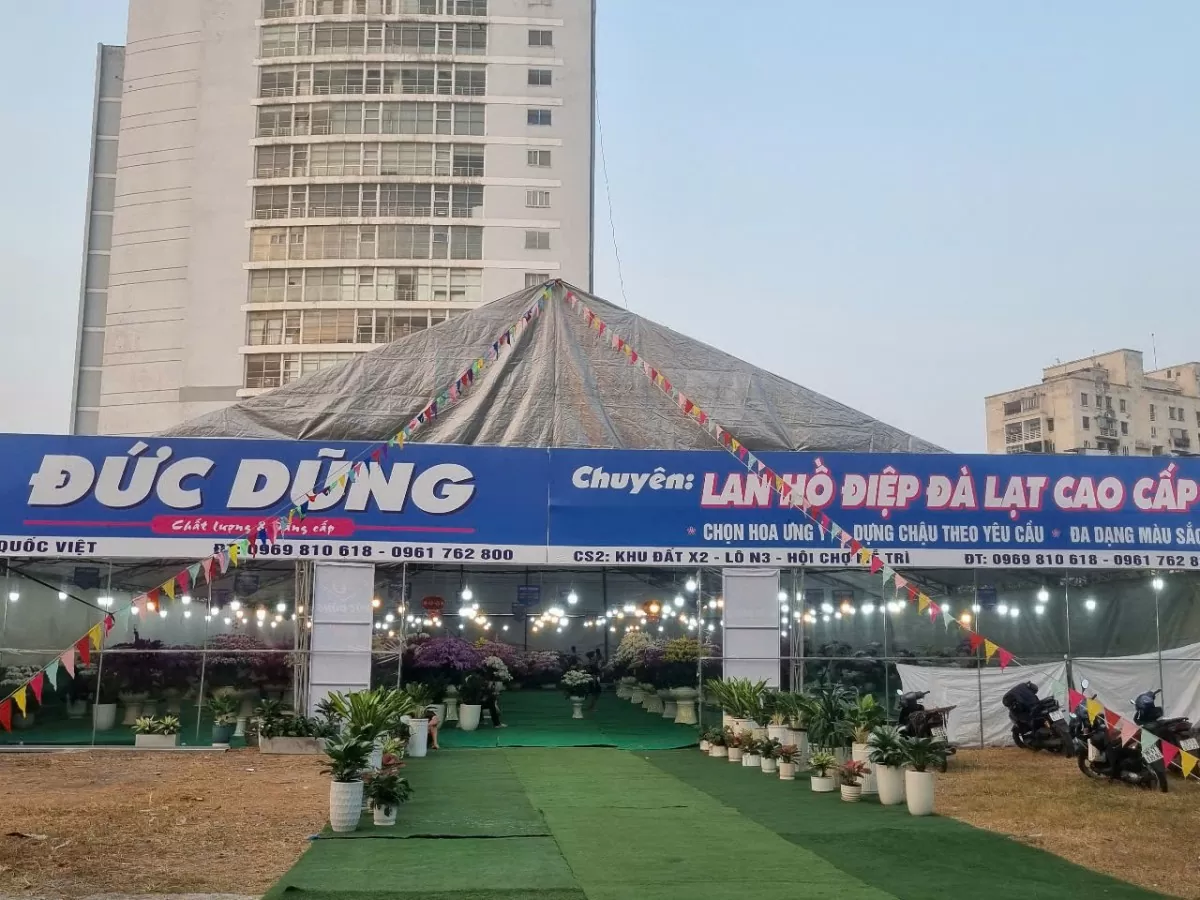 Lan Đà Lạt khoe sắc nơi đất ‘vàng’ bỏ hoang Hà Nội