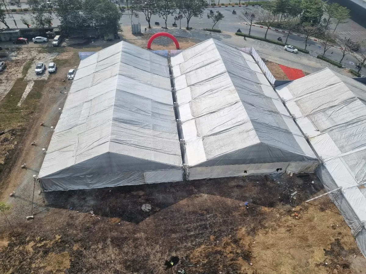 Lan Đà Lạt khoe sắc nơi đất ‘vàng’ bỏ hoang Hà Nội