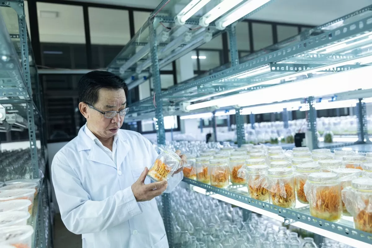 Anh hùng lao động Trần Mạnh Báo - từ chiến trường đến vang danh thương trường