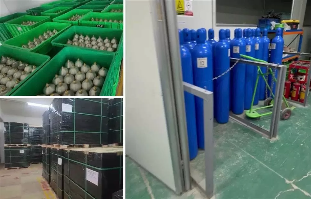 Khí cười tràn lan, TP. Hồ Chí Minh có chỉ đạo khẩn