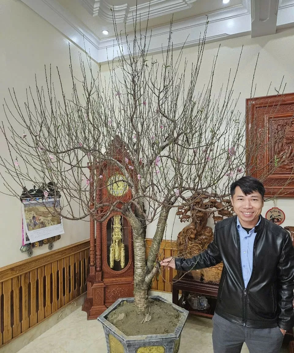 Sắc xuân tràn ngập các tuyến đường ở TP. Thanh Hóa