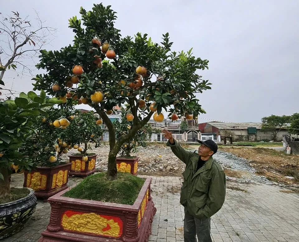 Sắc xuân tràn ngập các tuyến đường ở TP. Thanh Hóa