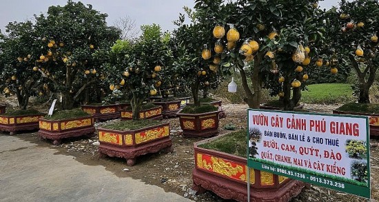 sac xuan tran ngap cac tuyen duong o tp thanh hoa