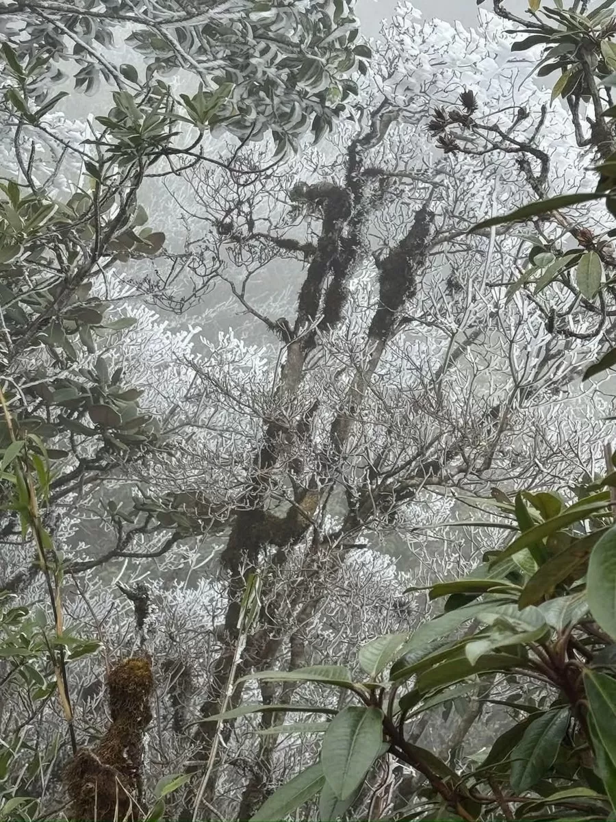 Xuất hiện băng tuyết tại đỉnh đèo La Pán Tẩn, Tà Xùa Xuất hiện băng tuyết tại đỉnh đèo La Pán Tẩn, Tà Xùa