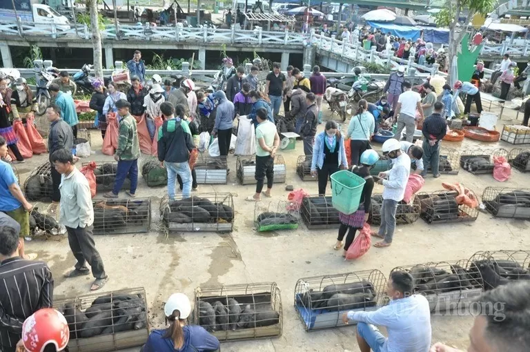 Lai Châu quan tâm phát triển thương mại, chợ biên giới