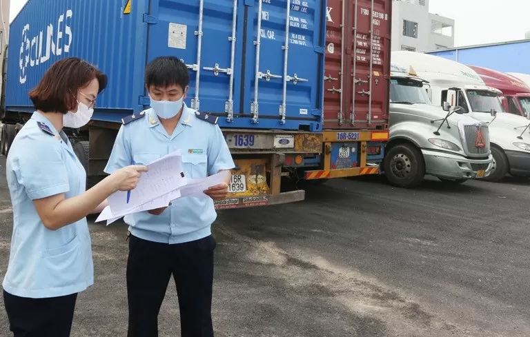 TP. Hồ Chí Minh tạm dừng thủ tục hải quan đối với các doanh nghiệp nợ thuế quá hạn. Ảnh minh họa