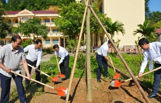 Lào Cai xây dựng kế hoạch phát động Tết trồng cây