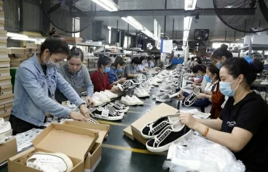 Xuất khẩu da giày chuyển đổi xanh tăng giá trị thương hiệu
