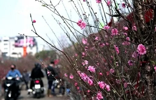 Thời tiết hôm nay 15/1: Bắc Bộ duy trì rét lạnh