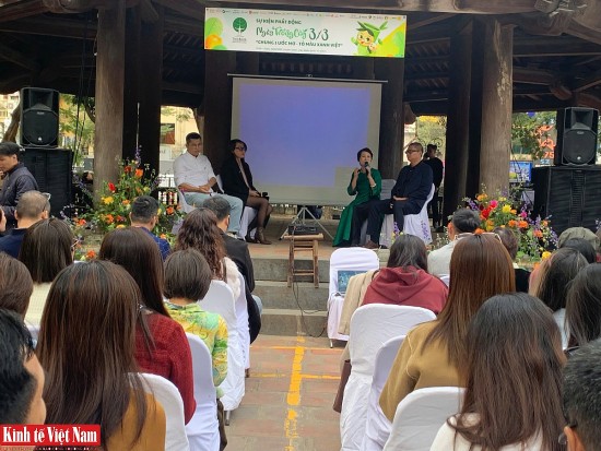 treebank phat dong ngay trong cay 2025
