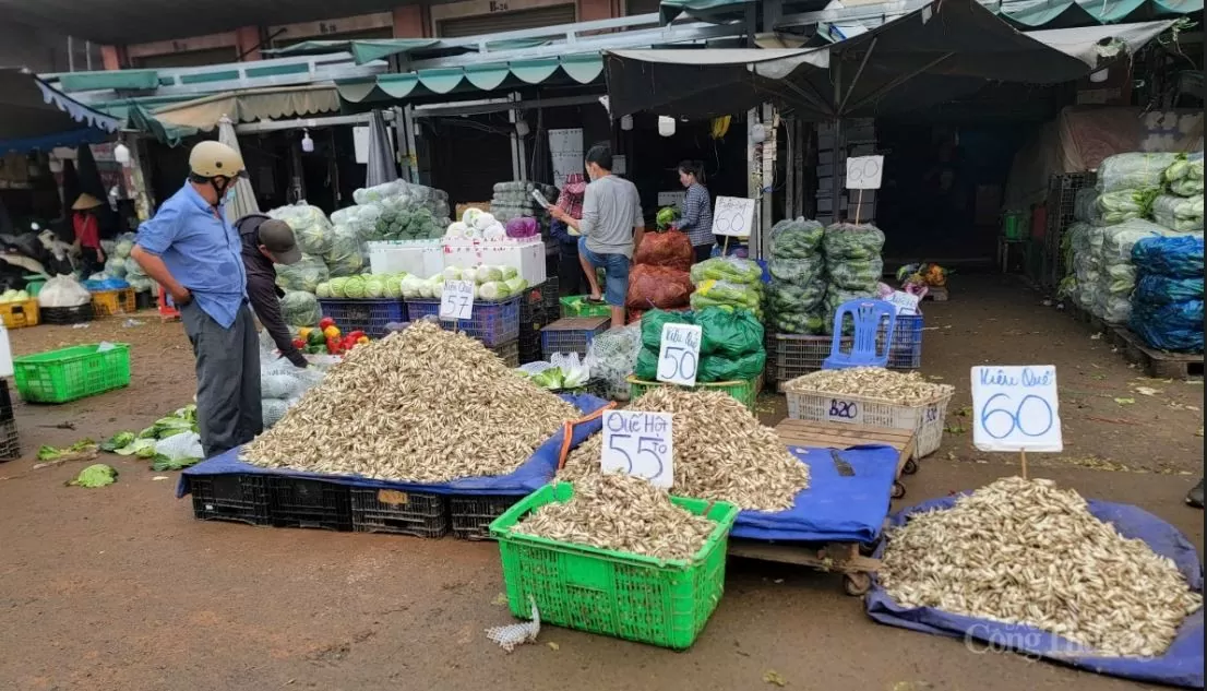 TP. Hồ Chí Minh: Nông sản tăng mạnh tại chợ đầu mối