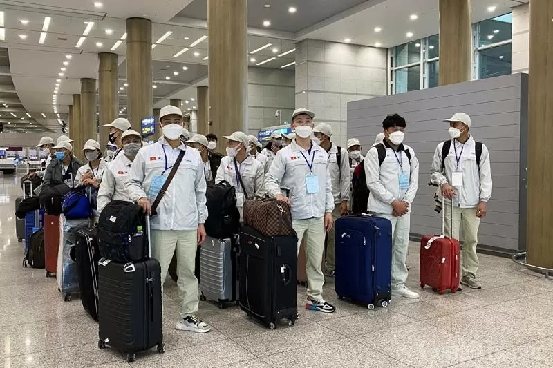 Phần Lan thiếu nhân lực, cơ hội cho lao động Việt Nam