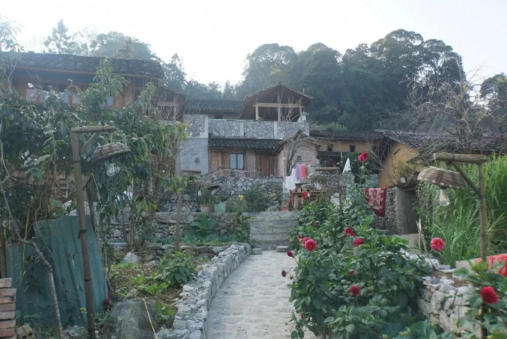 Khi ý Đảng hợp lòng dân “miền đá” cũng nở hoa