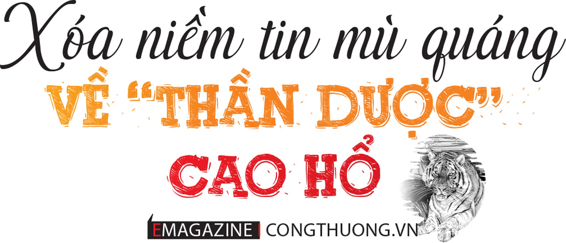 Chấm dứt nạn buôn bán hổ, cách nào?
