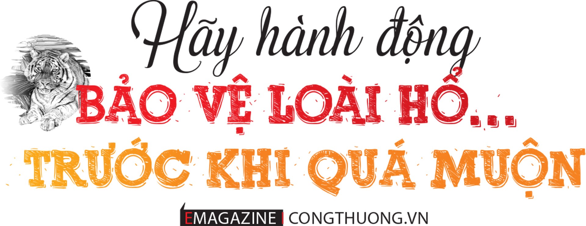 Chấm dứt nạn buôn bán hổ, cách nào?