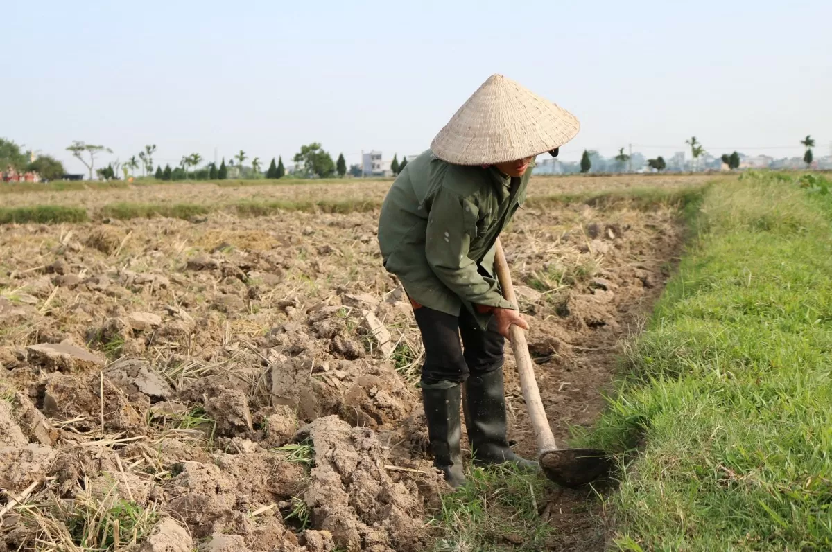 Thời tiết hôm nay 18/1: Miền Bắc trời rét, khô hanh