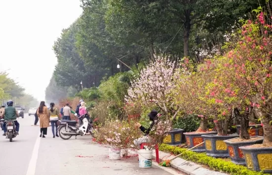 Thời tiết hôm nay 19/1: Bắc Bộ vẫn duy trì trời rét
