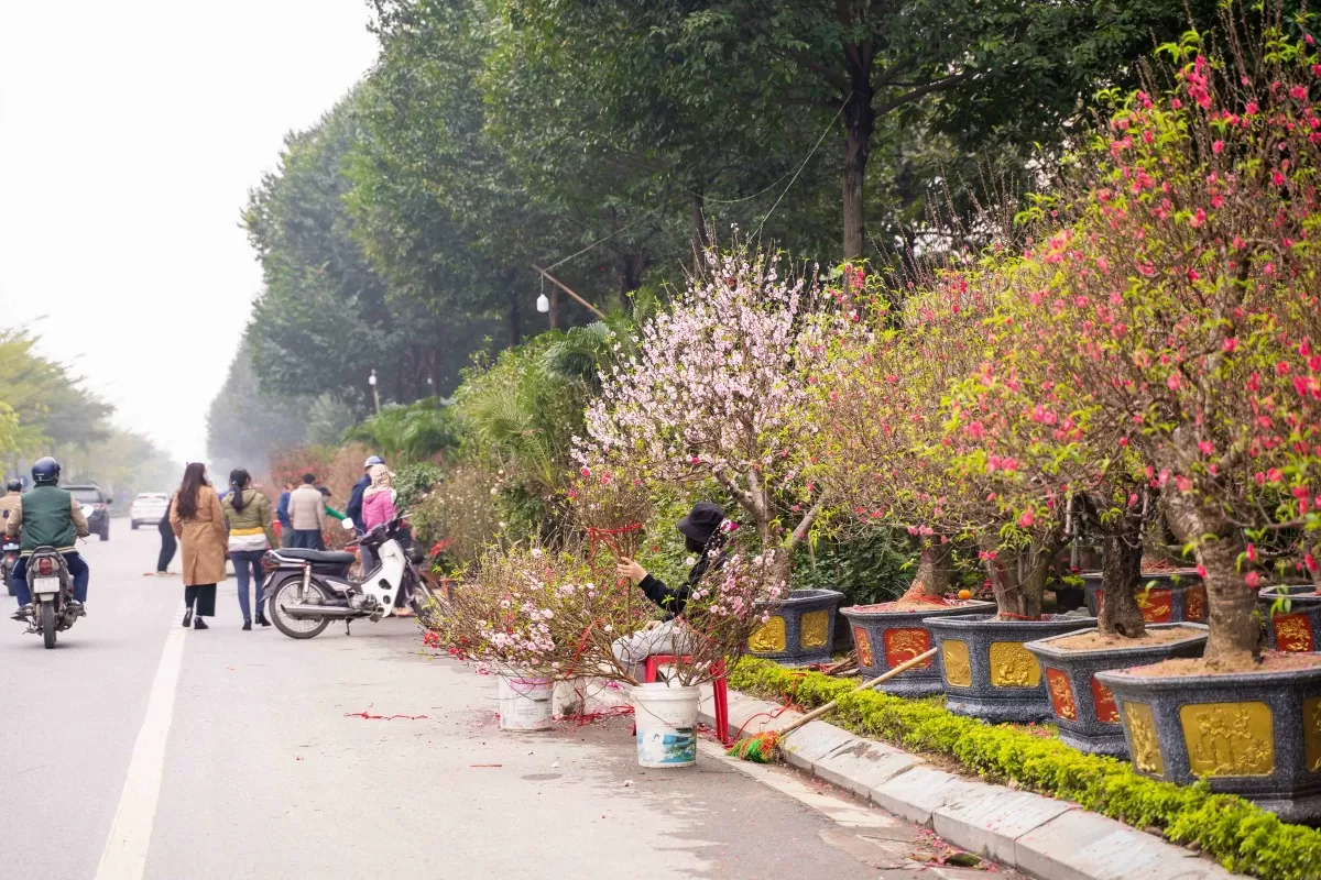Thời tiết hôm nay 19/1: Bắc Bộ vẫn duy trì trời rét