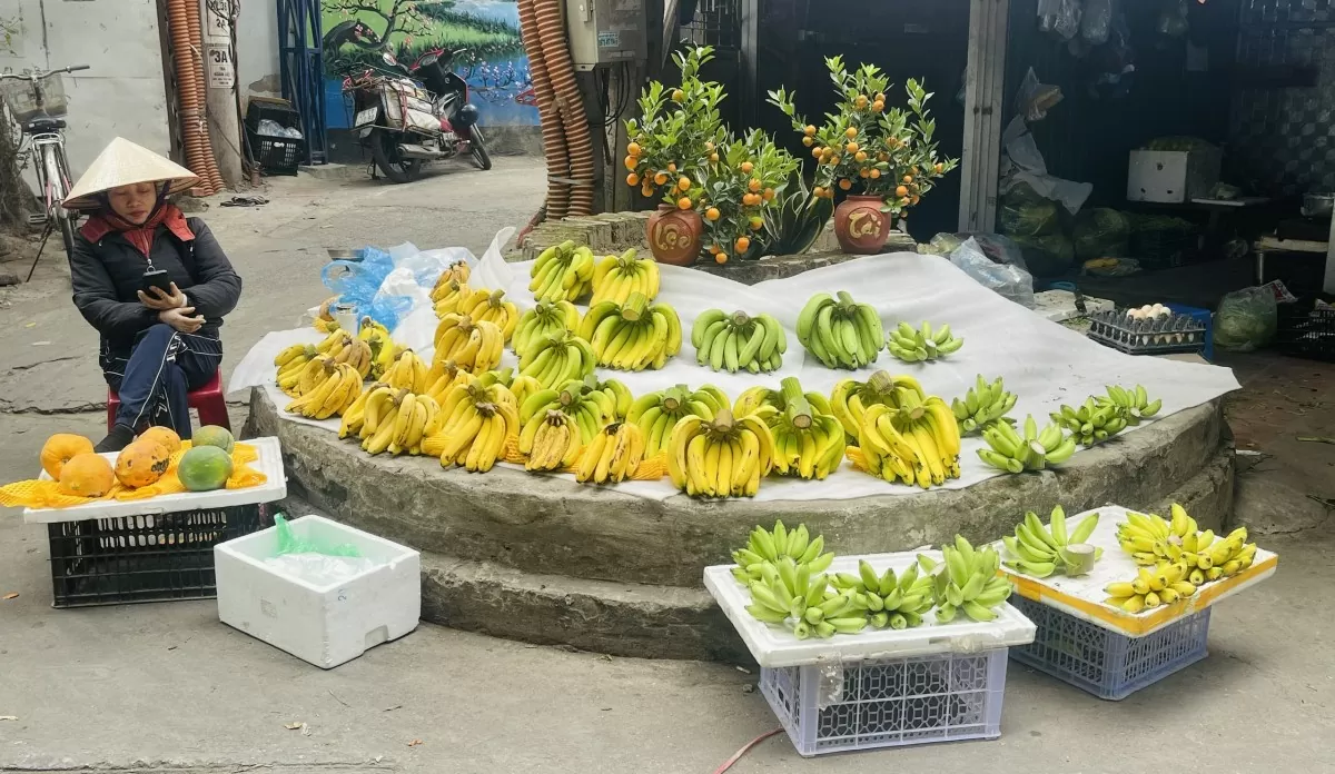 Trái cây tươi rất đa dạng. Ảnh: Nguyễn Thanh