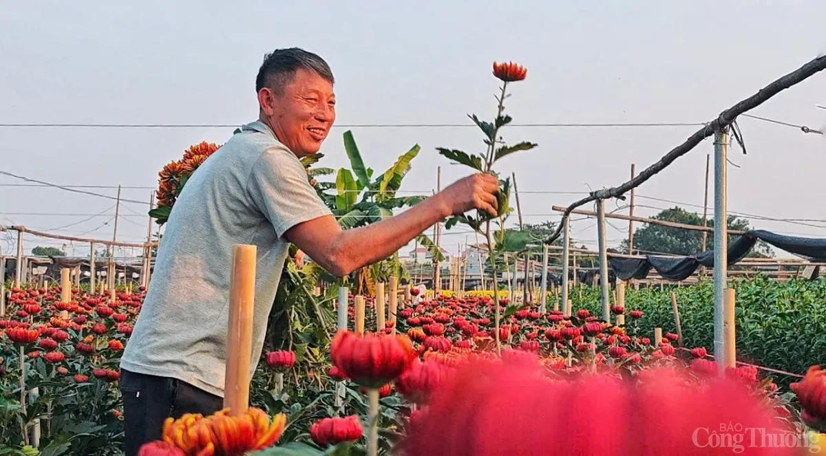 Làng hoa Tây Tựu 'cháy hàng' dịp cận Tết