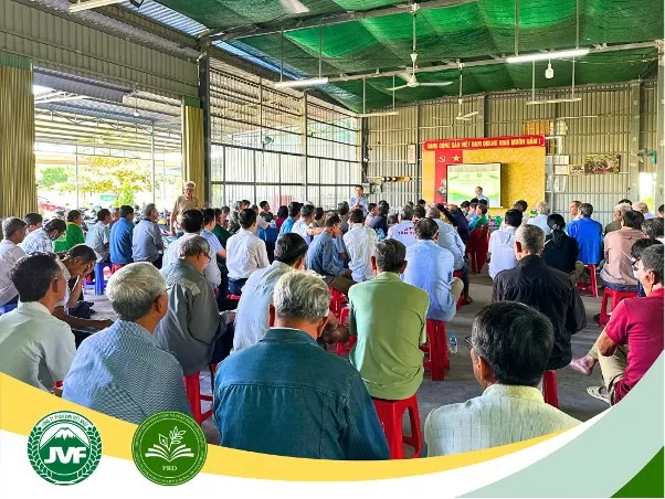 Đồng Tháp: Hướng dẫn chọn phân bón đúng và đủ cho cây