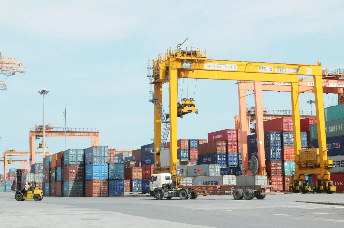Lộng lẫy mùa Xuân đất nước