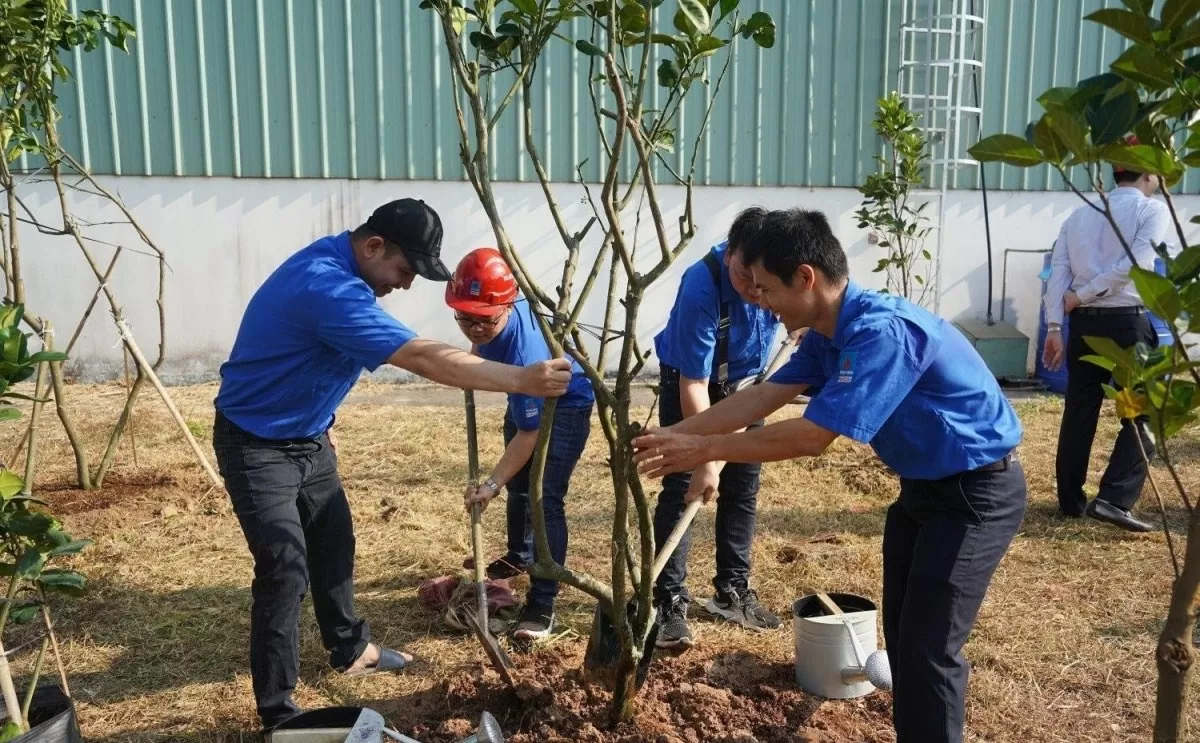 Phú Mỹ tập trung vào phát triển bền vững
