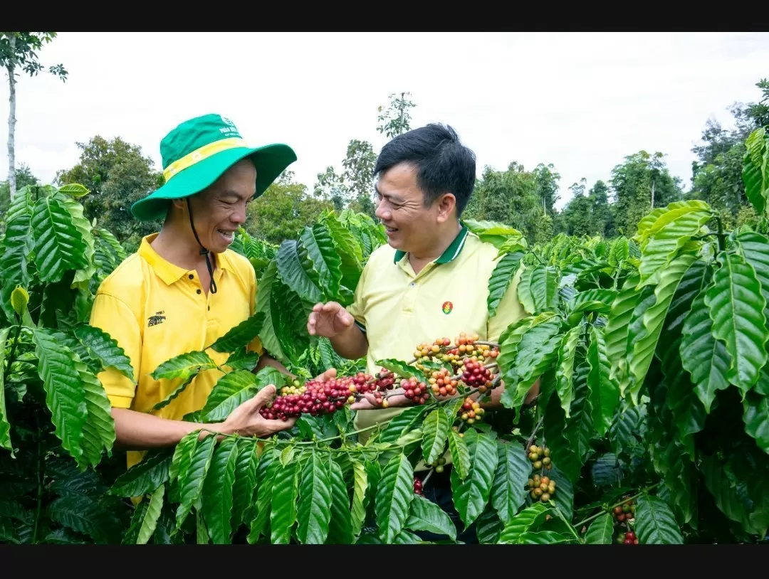 PVCFC quan tâm, chú trọng đến lợi ích của bà con nông dân bằng rất nhiều chương trình xúc tiến bán hàng, các hội thảo hướng dẫn kỹ thuật.