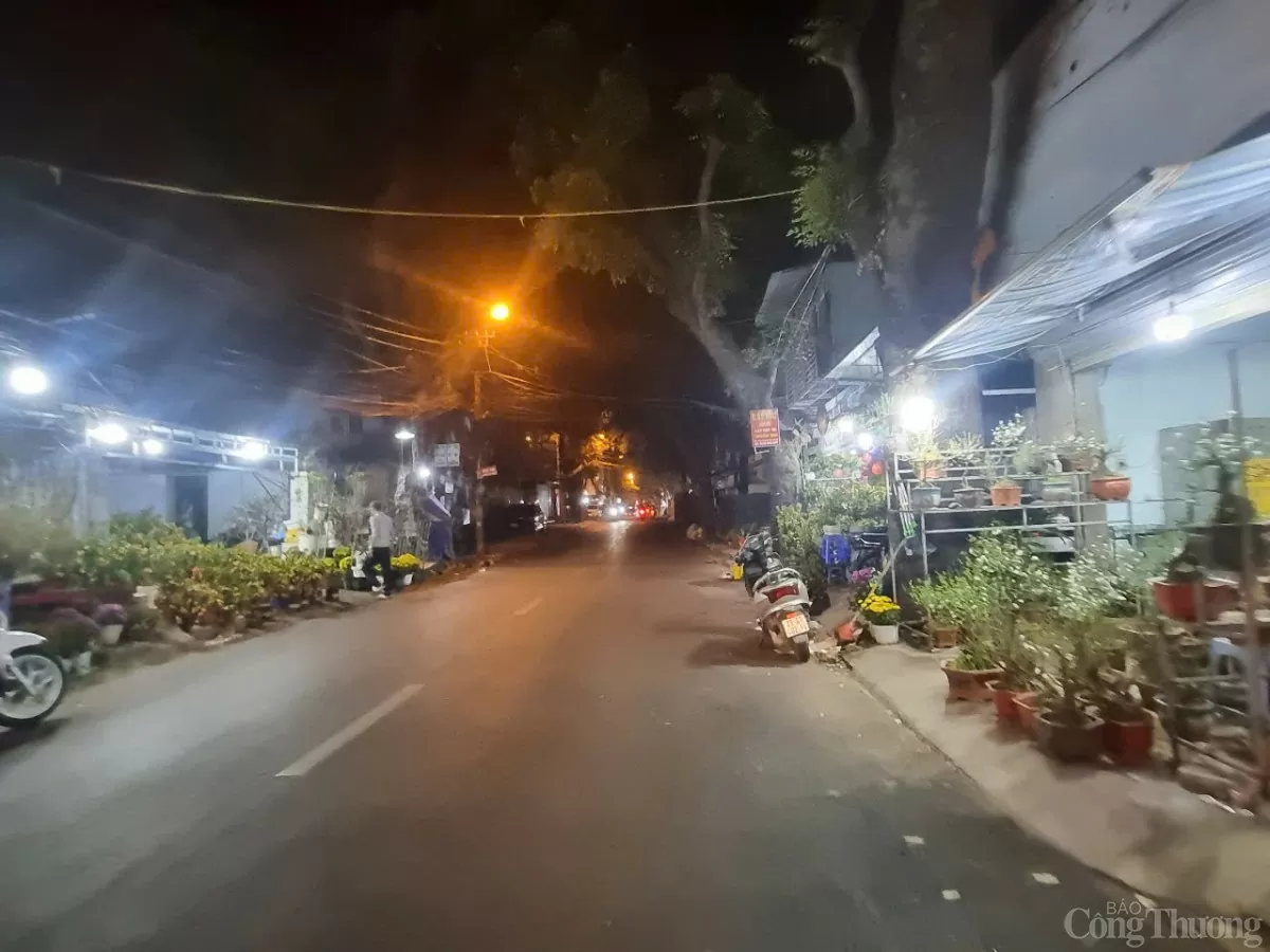Phố cây cảnh lớn nhất Hà Nội 