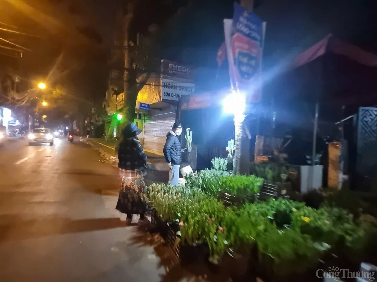 Phố cây cảnh lớn nhất Hà Nội 