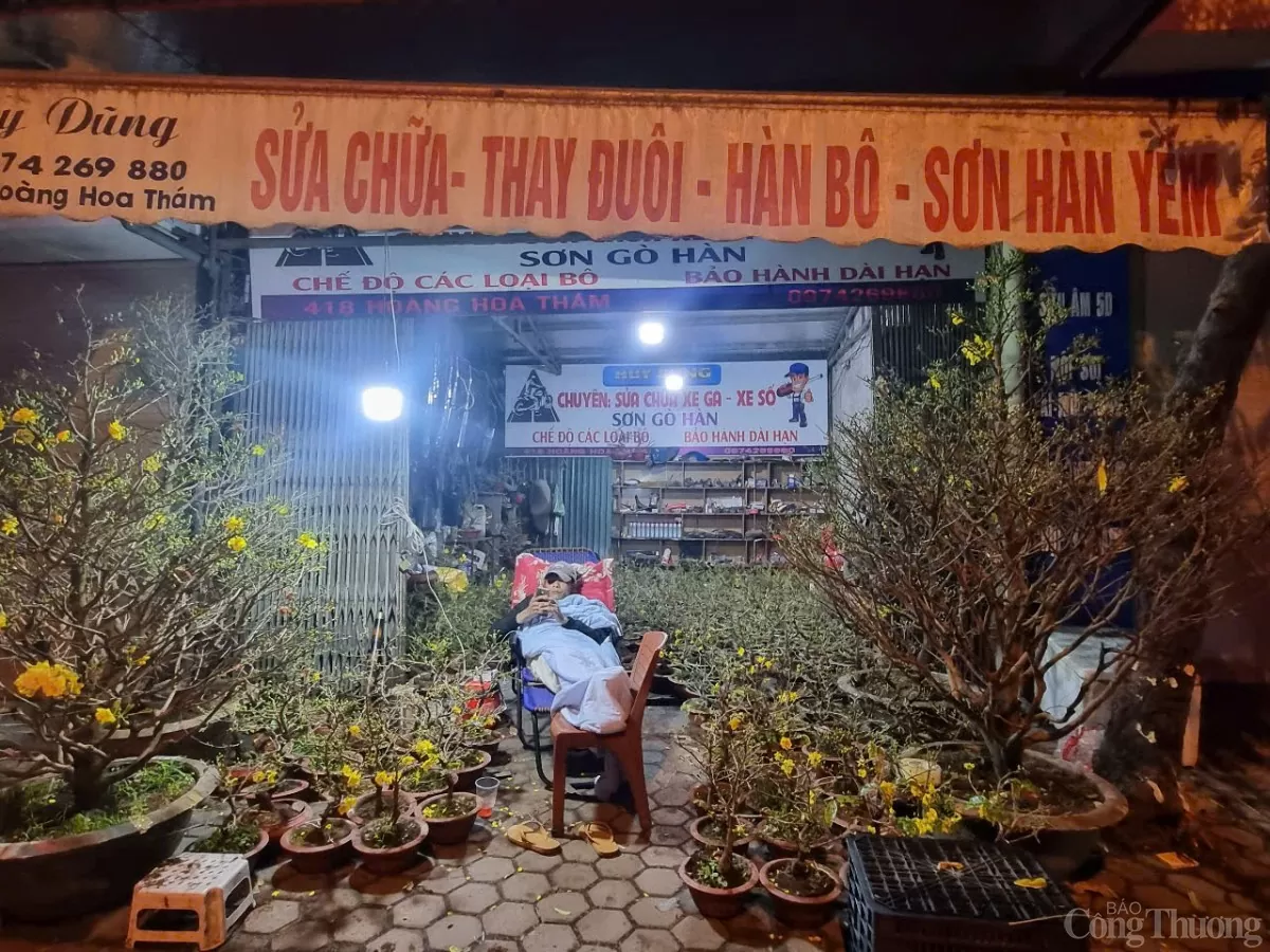 Phố cây cảnh lớn nhất Hà Nội 