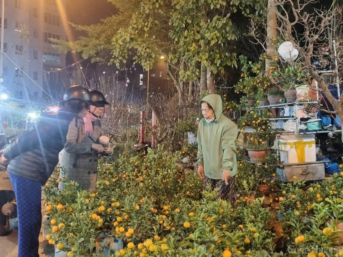 Phố cây cảnh lớn nhất Hà Nội 