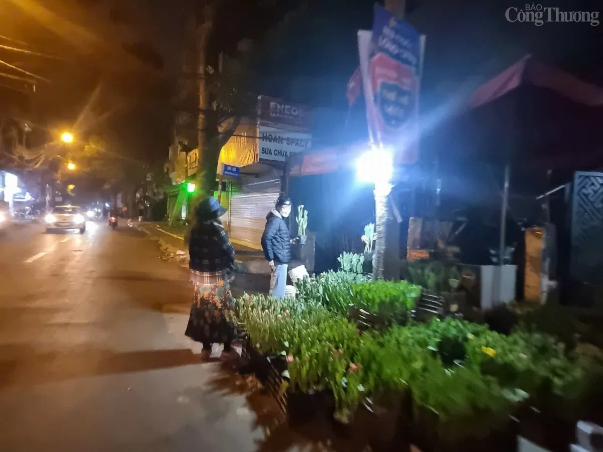 Phố cây cảnh lớn nhất Hà Nội "thức trắng đêm" mưu sinh